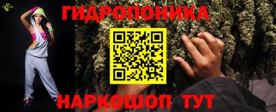 амф Кингисепп