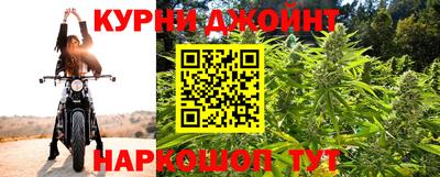 гидра Кинель