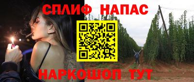 амф Кингисепп
