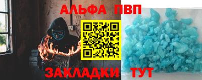 амф Кингисепп