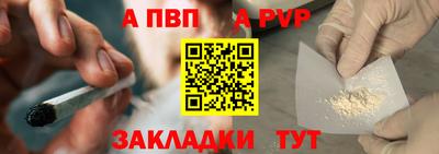 амф Кингисепп