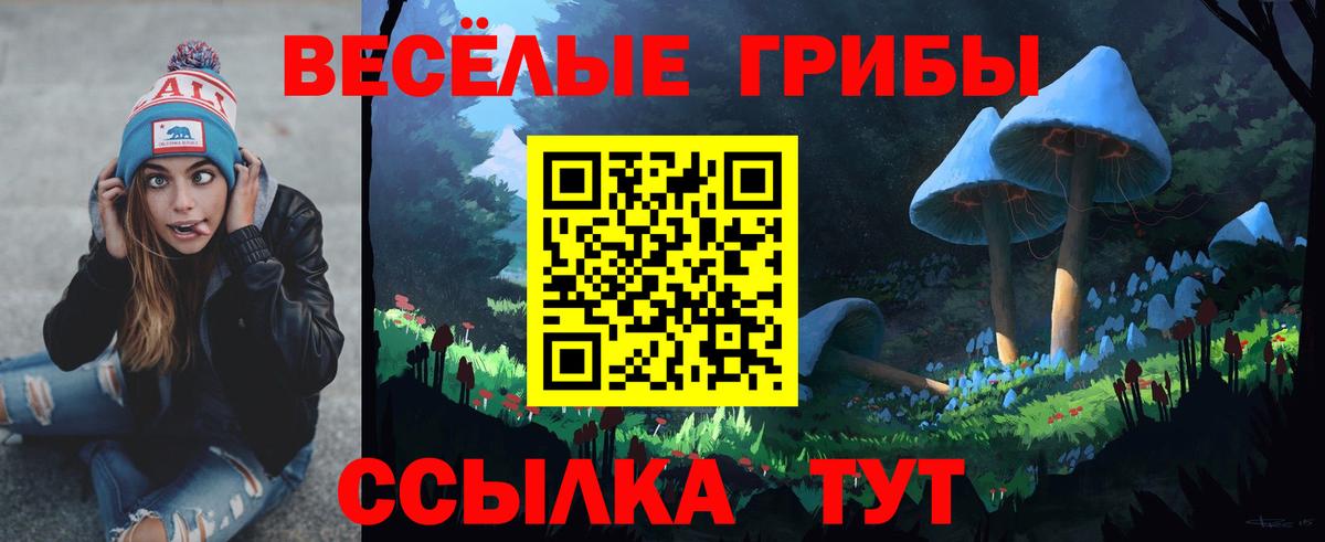 Красный Сулин  Галлюциногенные грибы MAGIC MUSHROOMS  Вход с VPN 